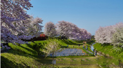 相模三川公園