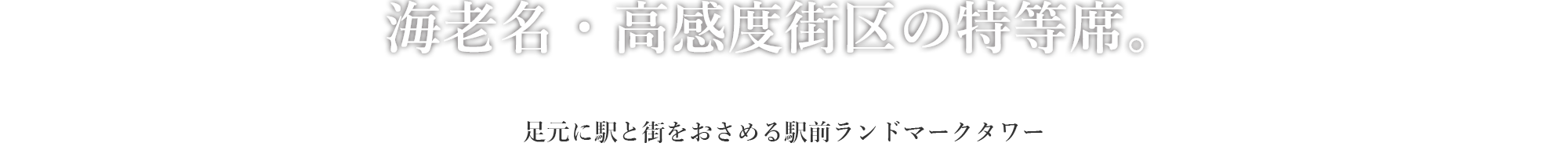 海老名・高感度街区の特等席。｜足元に駅と街をおさめる駅前ランドマークタワー